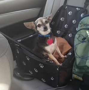 Meet your Posher, Adrea